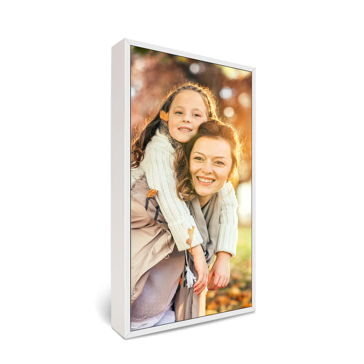 30x60" Framed Canvas Print
