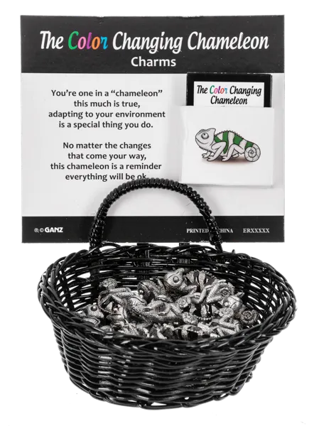 Colorful Chameleon Pocket Token