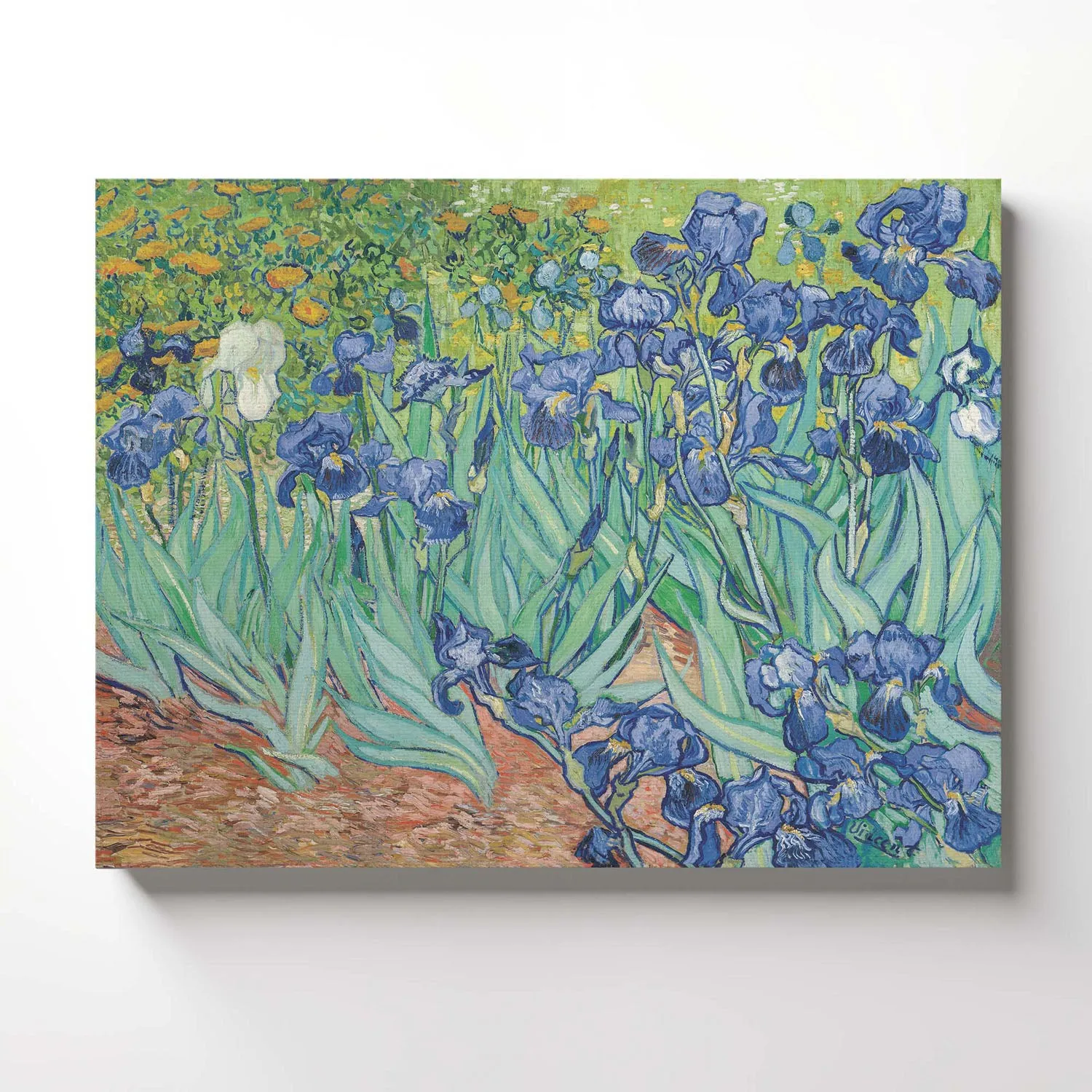 Van Gogh Wall Art, Irises Canvas Print, Van Gogh Print, Van Gogh Wall Art, Van Gogh Irises, Ready To Hang for Living Room Home Wall Decor, C2445